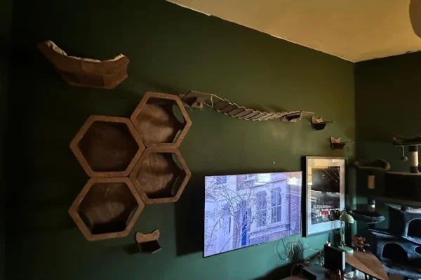 Custom wall-mounted cat shelves alongside a professionally mounted TV and framed picture in living room