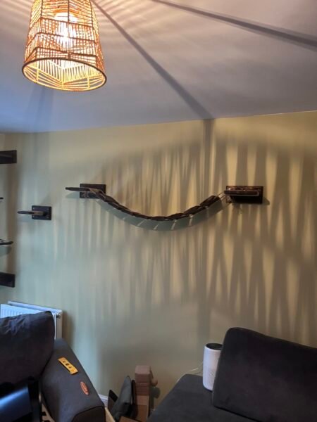 Catification shelves mounted in living room – floating design for feline climbing