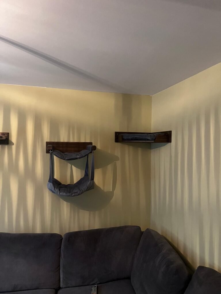 Indoor cat wall system installed for enrichment and exercise.