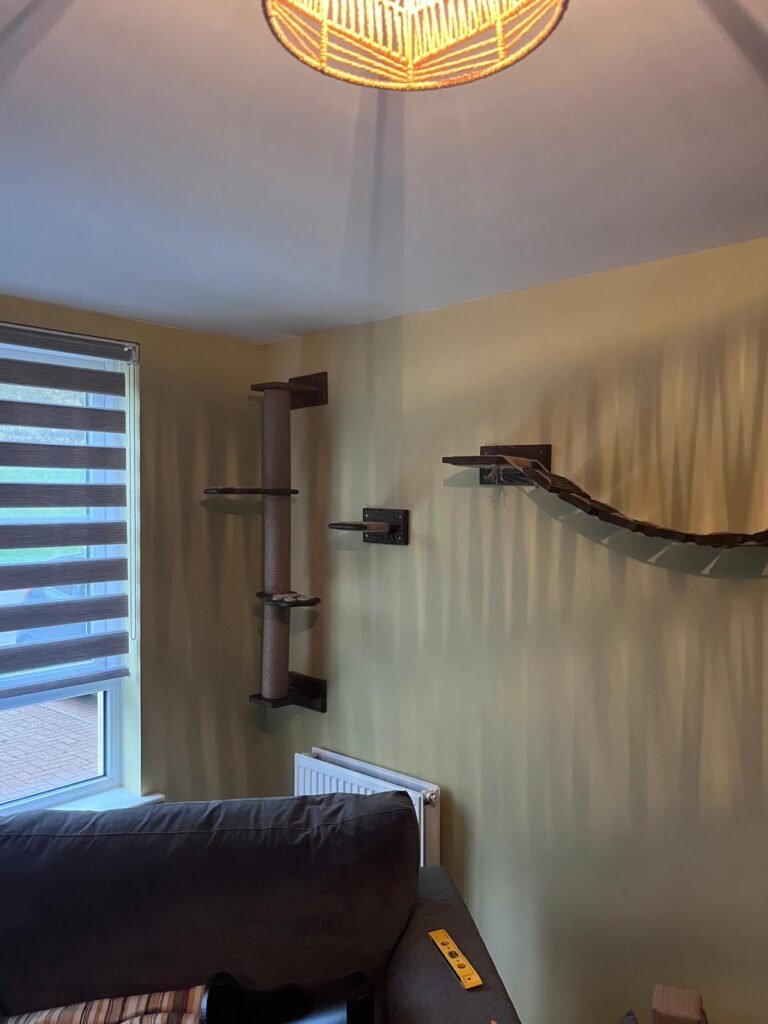 Wooden wall-mounted cat bridge suspended between two shelves.