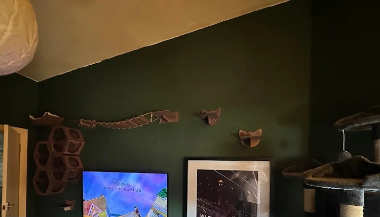 glasgow handyman gallery