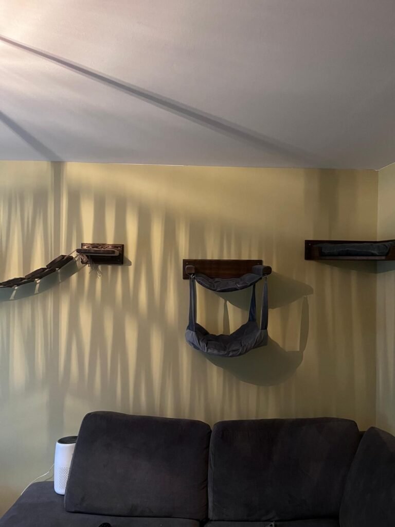 Set of floating cat wall shelves installed for climbing.”